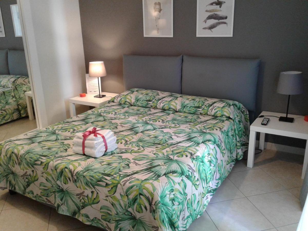 Kaktus B&B บารี ภายนอก รูปภาพ