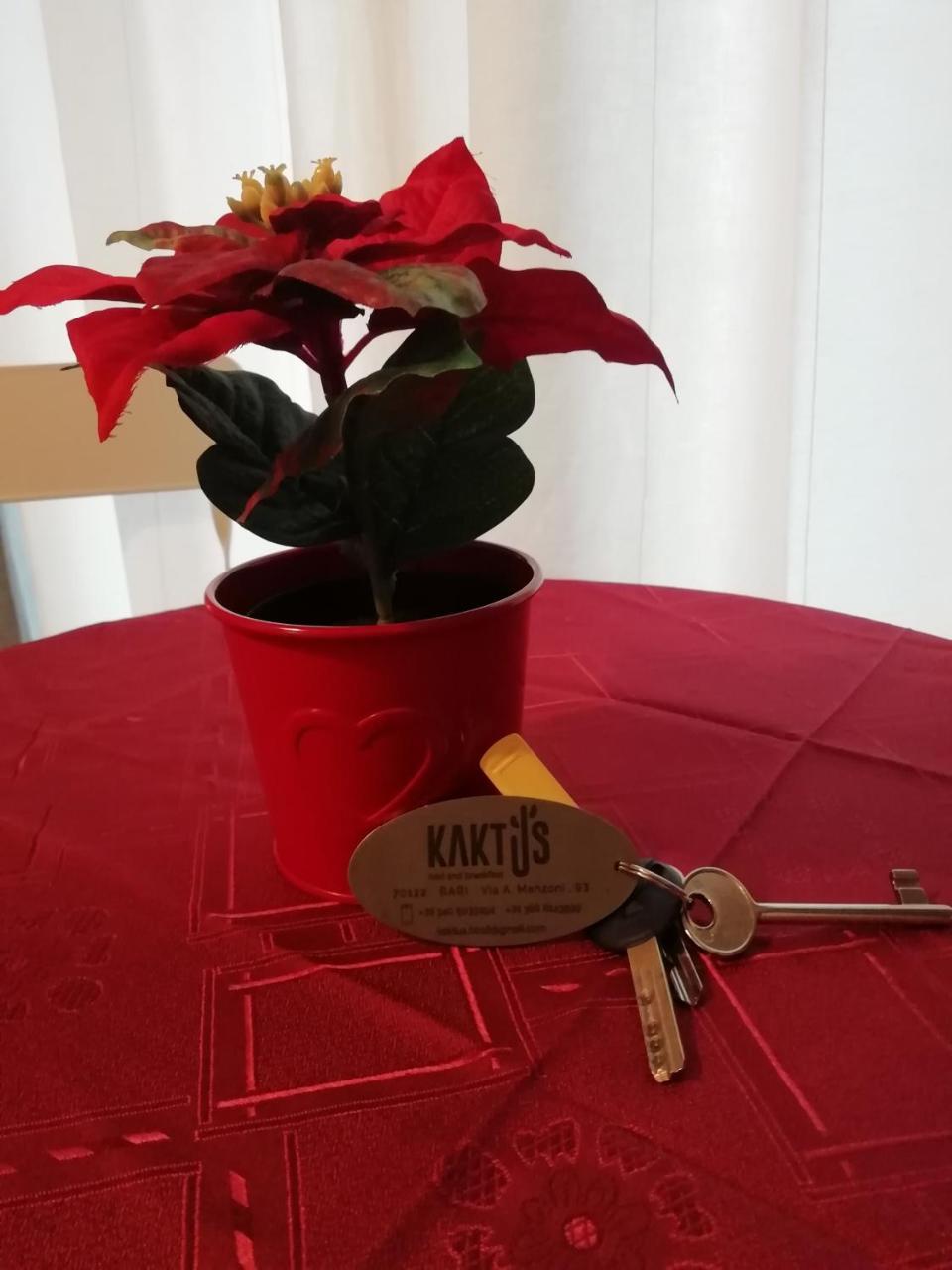 Kaktus B&B บารี ภายนอก รูปภาพ